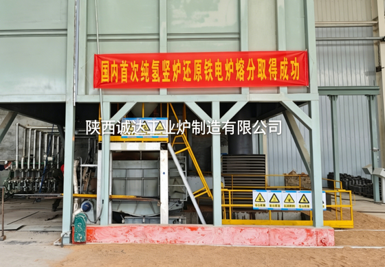 Reduction Iron Electric Furnace